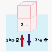 img6.gif